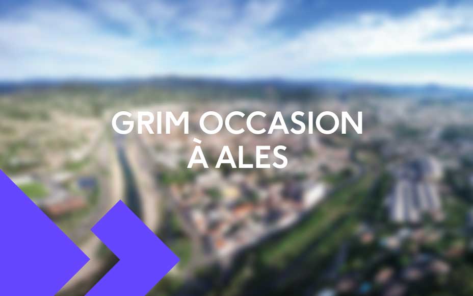 voiture occasion ales