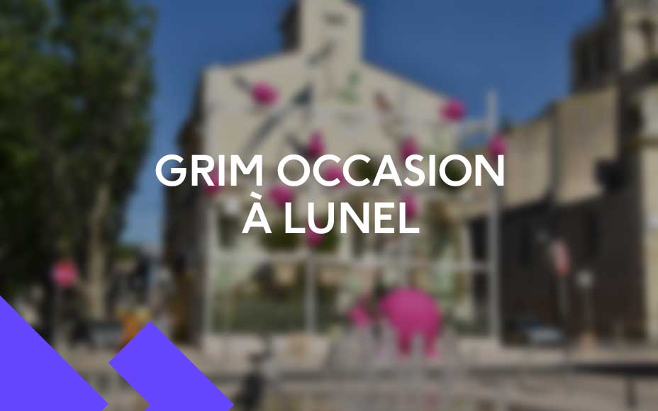 voiture occasion lunel