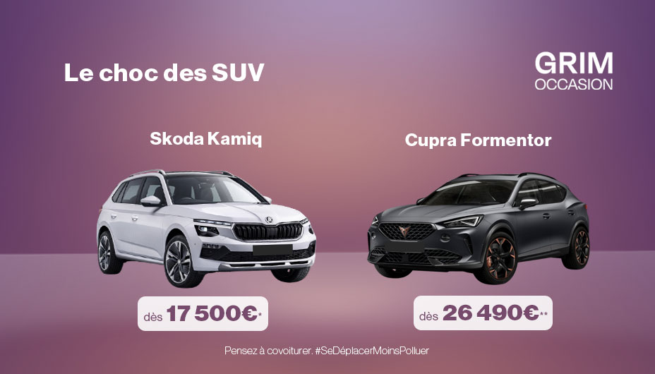 offre occasion vw group