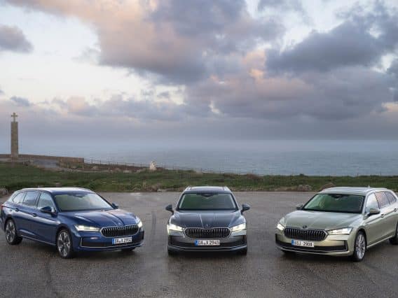 Label Skoda Plus voitures doccasion