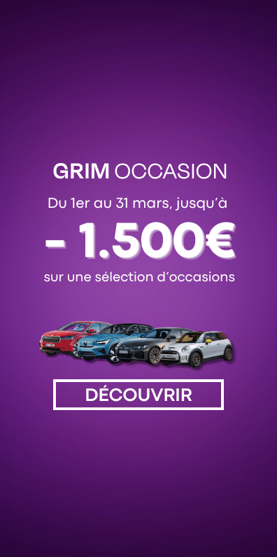Notre sélection de cruisers d’occasion dès