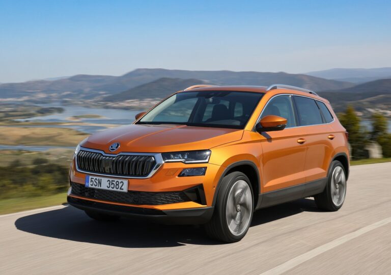 skoda kamiq occasion
