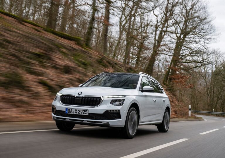 skoda karoq occasion