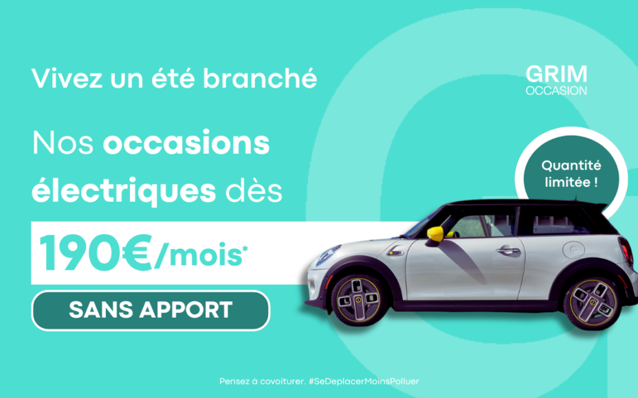 Offre mini electrique occasion