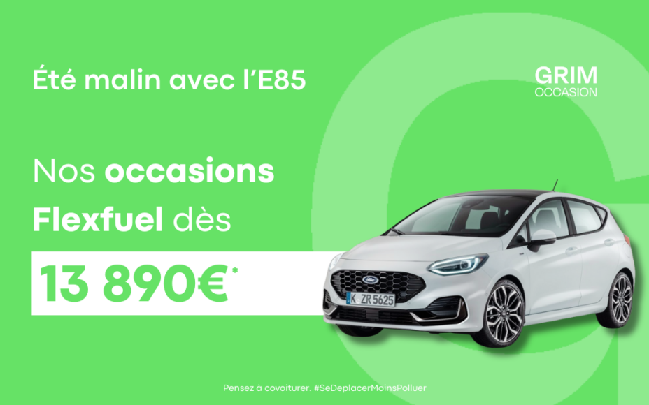 offre flexfuel e occasion