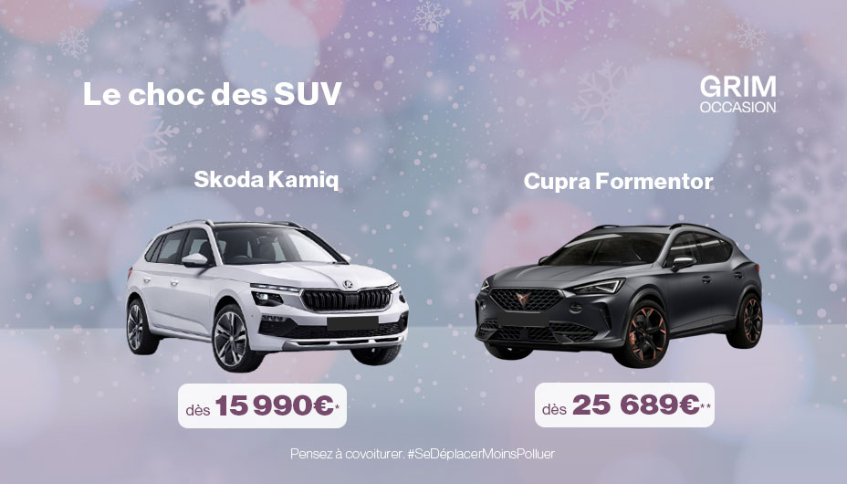 offre occasion vw group