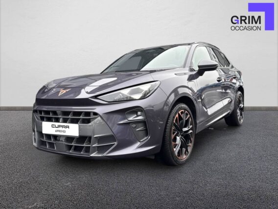 cupra terramar ehybrid ch dsg vz