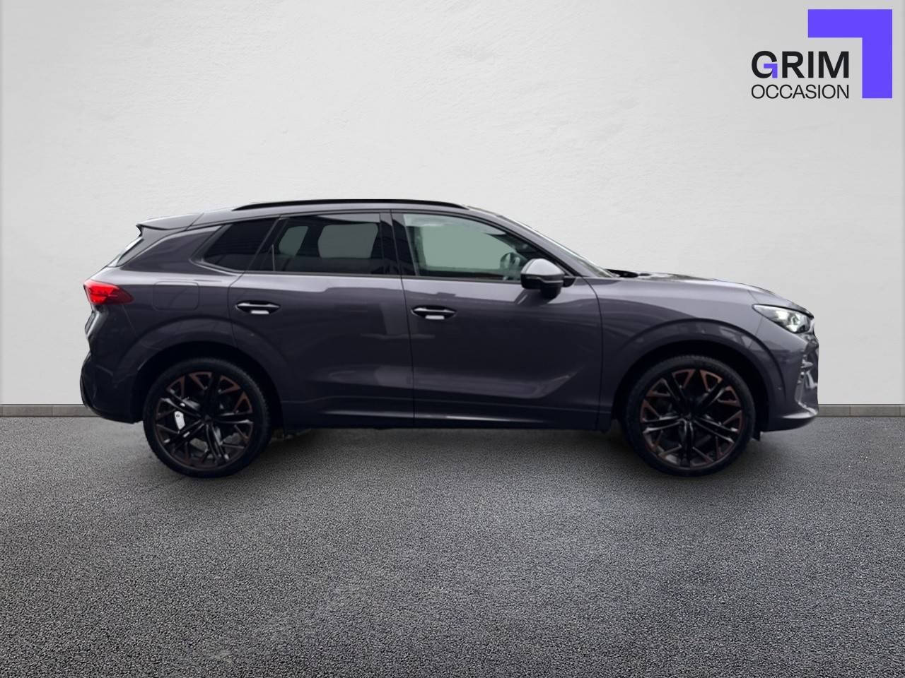 cupra terramar ehybrid ch dsg vz