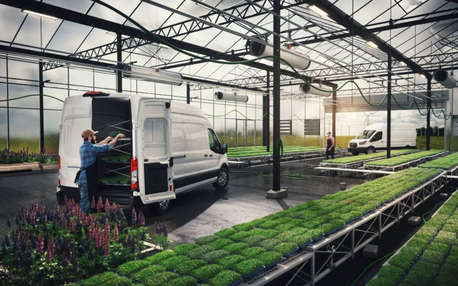 choisir un utilitaire d'occasion fiable