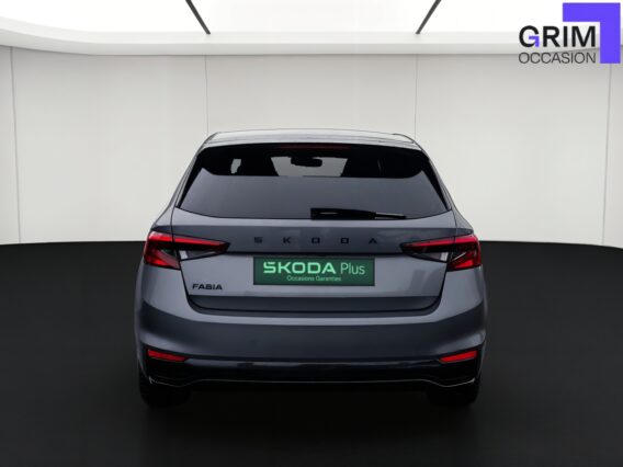 SKODA FABIA FACEARRIERE