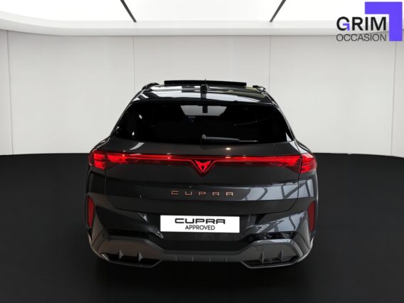 CUPRA TERRAMAR FACEARRIERE