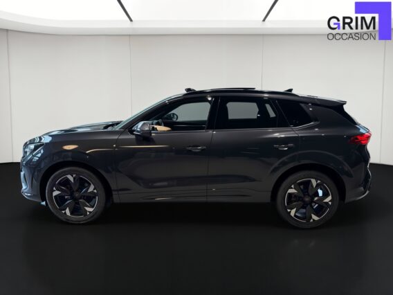 CUPRA TERRAMAR PROFILGAUCHE