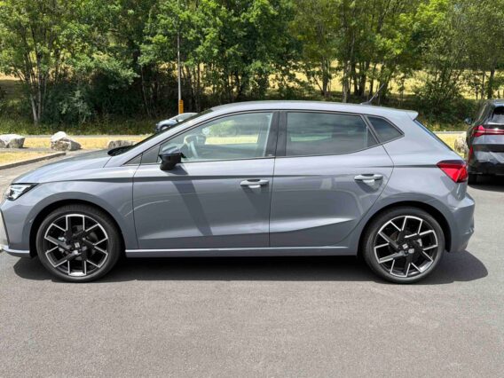 SEAT IBIZA PROFILGAUCHE