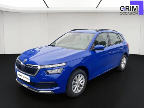 skoda kamiq tsi evo ch dsg business