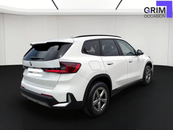 bmw x sdrive i ch dkg