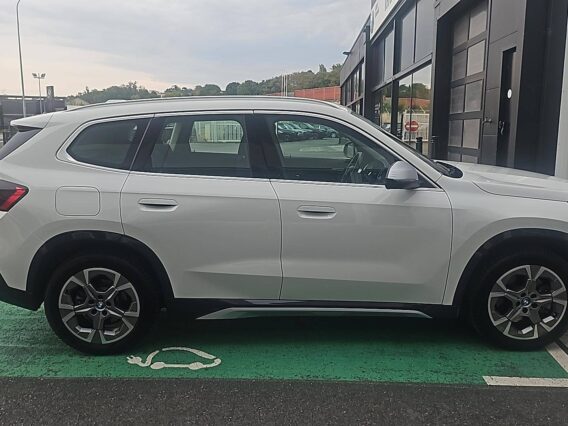 bmw x xdrive e ch dkg xline