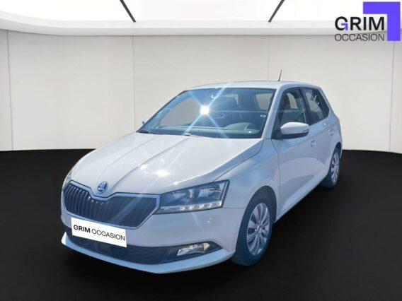 skoda fabia tsi ch bvm business