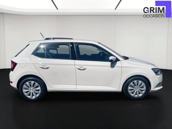 skoda fabia tsi ch bvm business
