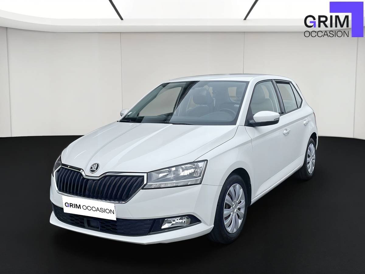 skoda fabia tsi ch bvm business