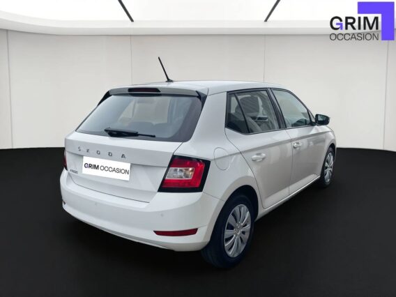 skoda fabia tsi ch bvm business
