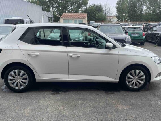 skoda fabia tsi ch bvm business
