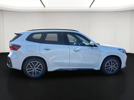 bmw x sdrive i ch dkg m sport