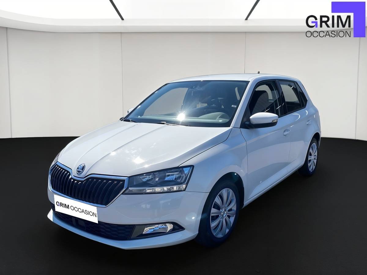 skoda fabia tsi ch bvm business