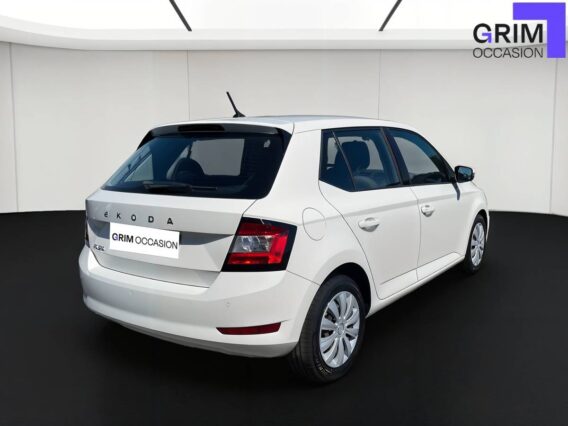 skoda fabia tsi ch bvm business