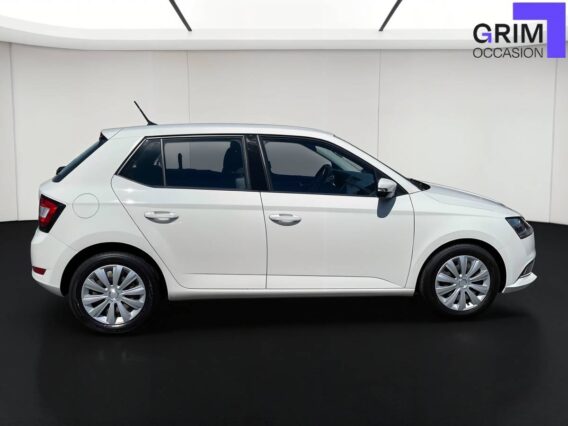skoda fabia tsi ch bvm business