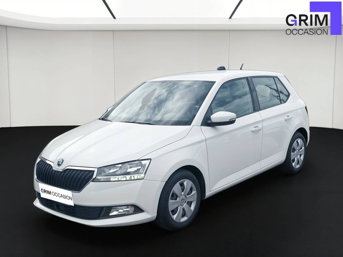 skoda fabia tsi ch bvm business