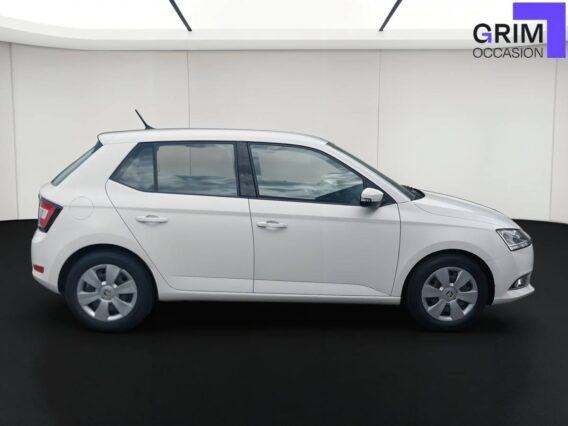 skoda fabia tsi ch bvm business