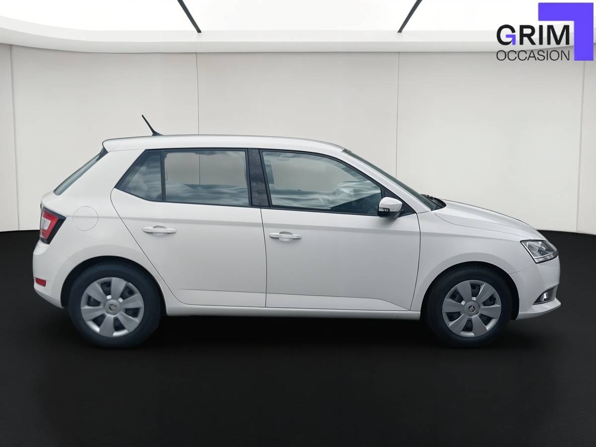 skoda fabia tsi ch bvm business