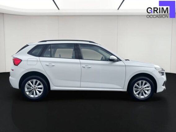 skoda kamiq tsi ch bvm business