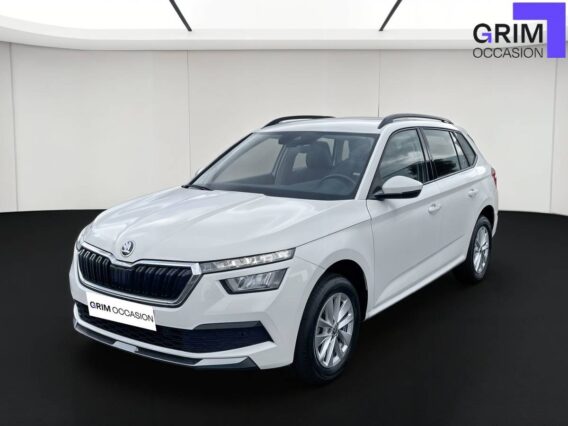 skoda kamiq tsi ch bvm business