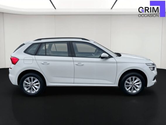 skoda kamiq tsi ch bvm business