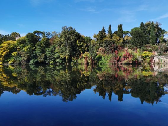 ou acheter une moto d'occasion a Albi