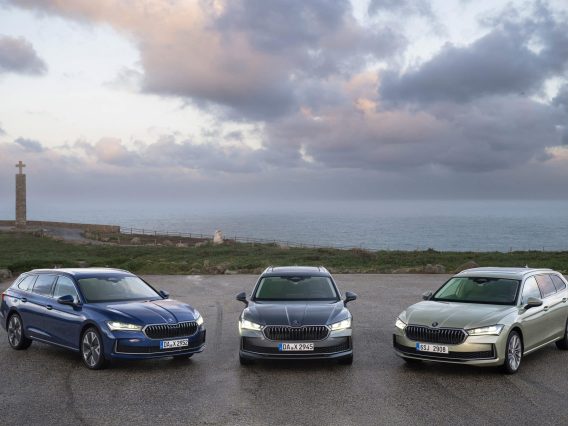 Label Skoda Plus voitures doccasion
