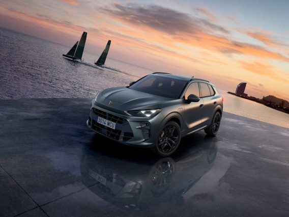cupra terramar d'occasion