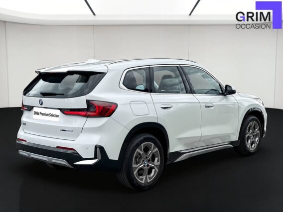 bmw x xdrive e ch dkg xline