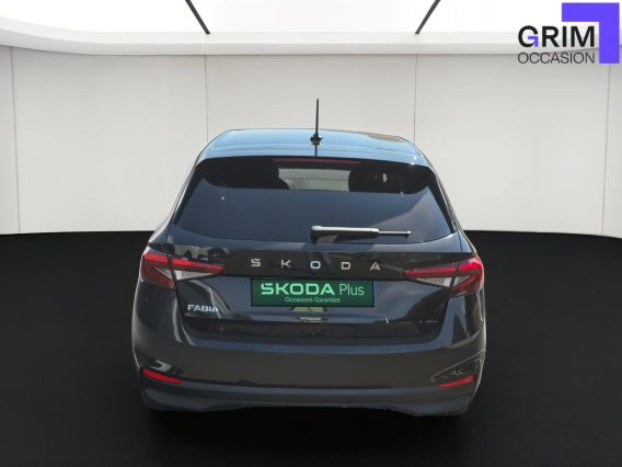SKODA FABIA FACEARRIERE
